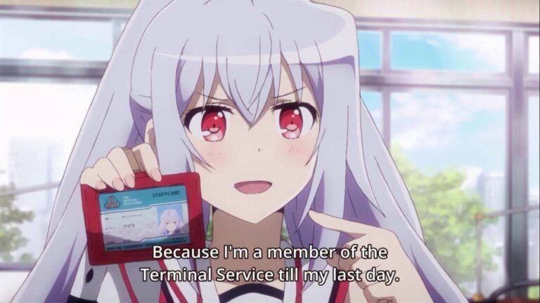 plamemo4
