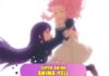 RTV to Air “Anima Yell” and “Power Rangers Super Megaforce” in Indonesia