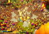 Funguys Swarm