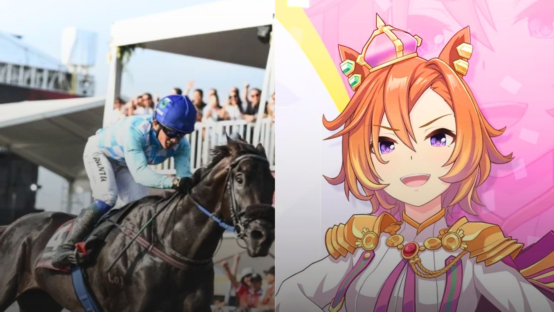 King argentine Uma Musume King Argentine TM Opera O