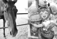 Haru Urara, Japan’s Beloved Racehorse that Inspire a Character in “Uma Musume”, Passes Away
