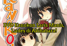 DVD Kanokon Laris Manis, Ludes di Akihabara!