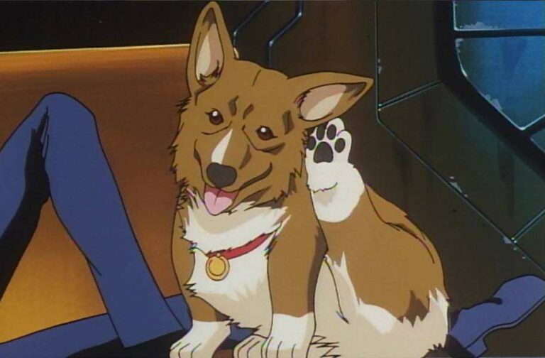 Ein