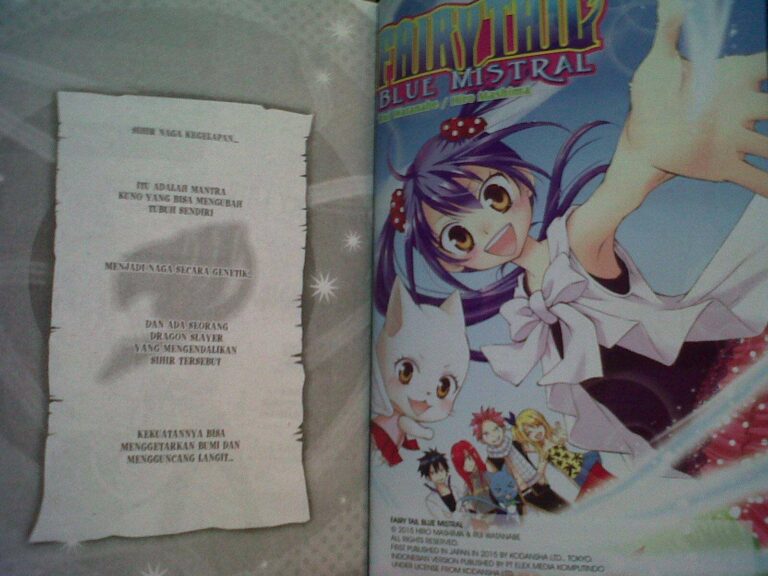 fairy tail