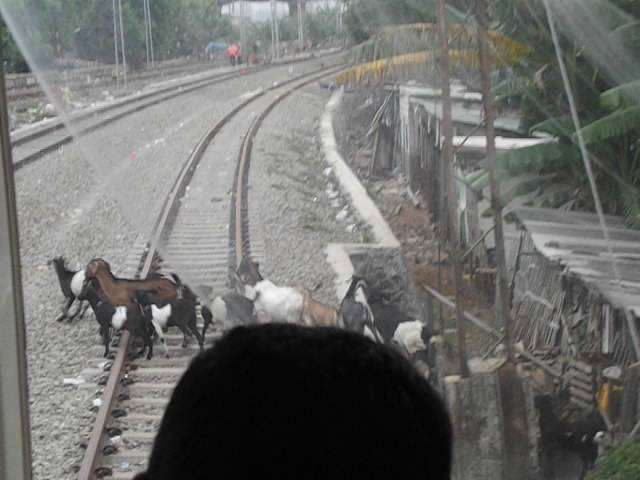 vlcsnap-2015-11-23-22h42m24s105