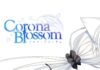 Corona Blossom Hcg