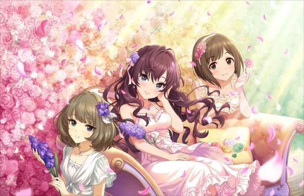 shiki+