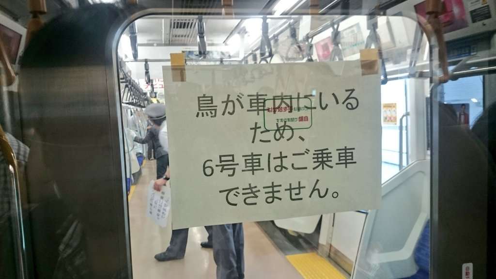 "Ada burung di dalam kereta ini, jadi kereta no. 6 tidak bisa dinaiki." | Sumber: @canopus_C1A (Twitter)