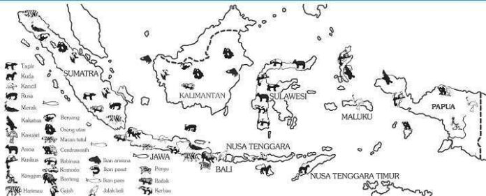 Peta persebaran hewan di Indonesia