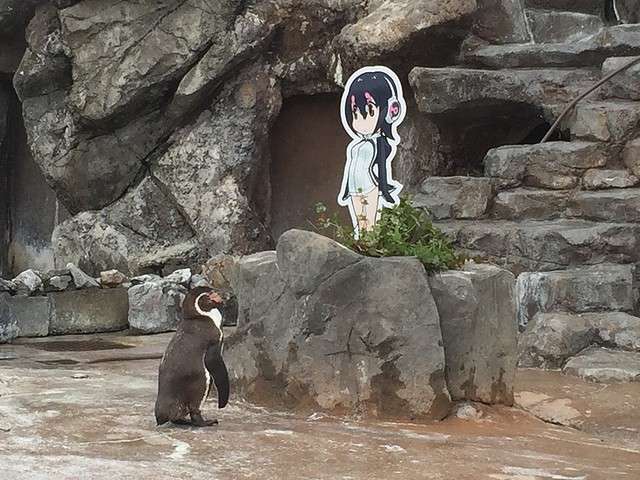 kemono_friends_tobu_penguin_2