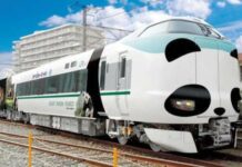 KRL bertema panda