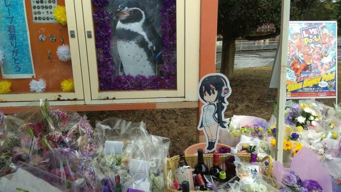 grape-kun-memorial-tobu-zoo-3