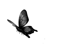 Akhirnya Manga Tokyo Ghoul:re Berakhir