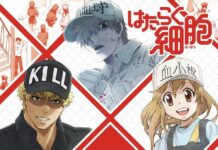 Anime Htaraku Saibou! Season 2