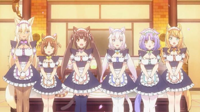 anime nekopara