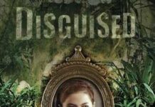 disguised Jugun ianfu