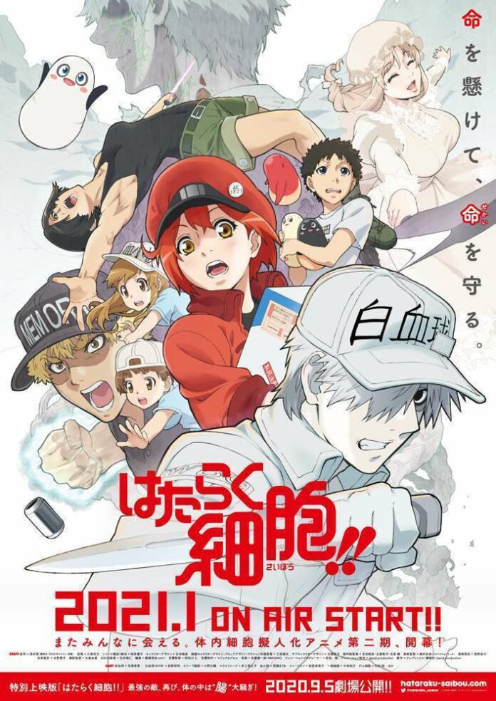 cells at work
