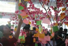 Sakura Matsuri