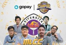 mobile legends