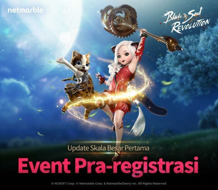 Blade&Soul Revolution