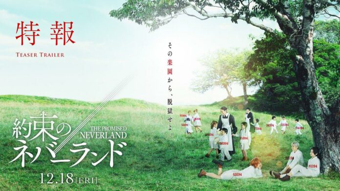 yakusoku no neverland