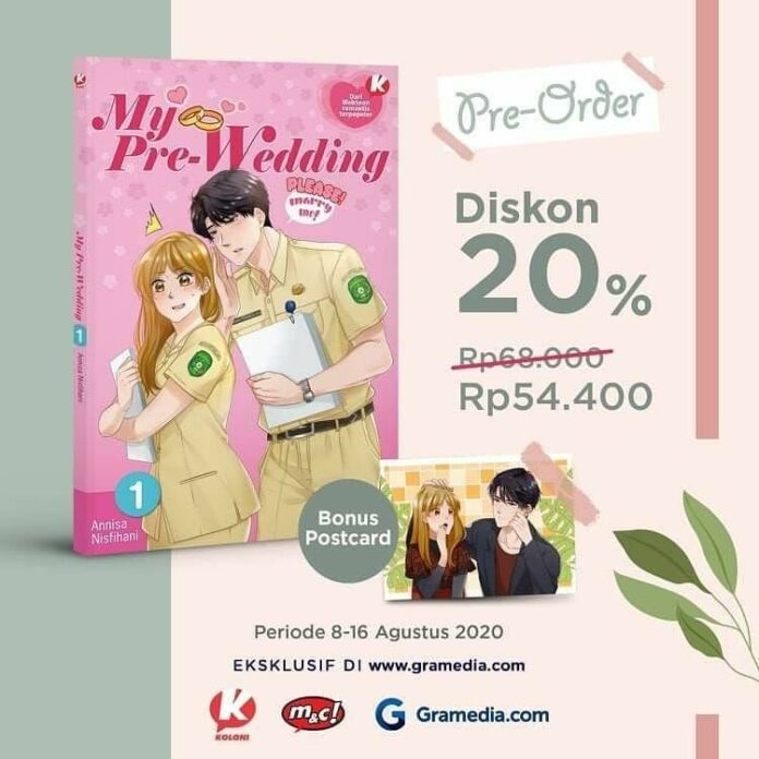 my pre wedding