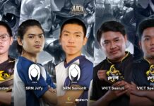 mdl indonesia