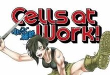 cells at work