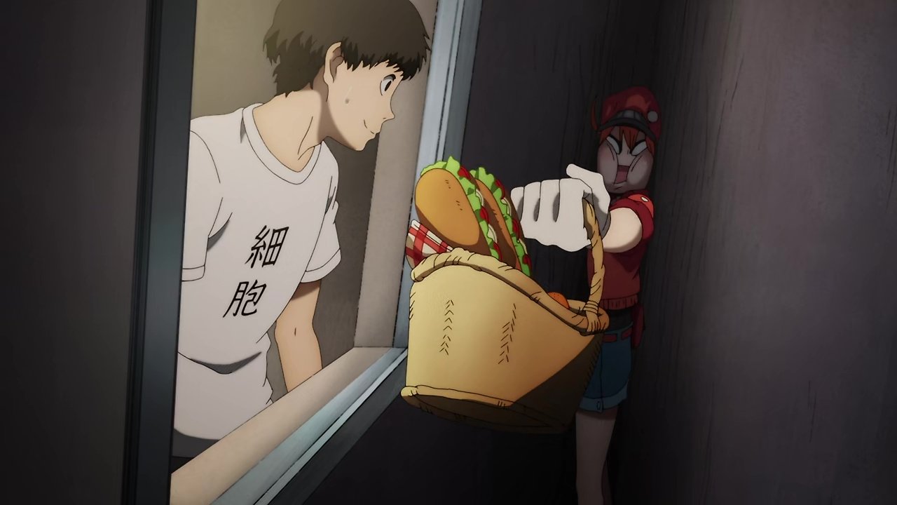 hataraku saibou season 2