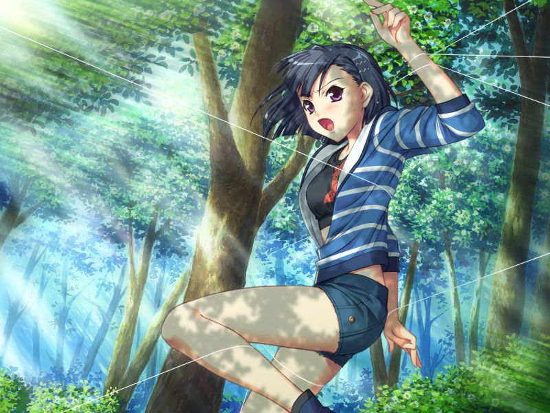 aoi shiro