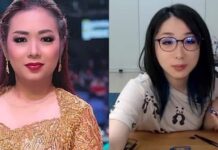 Pangling! Artis-Artis Indonesia Ini Mirip Dengan Artis Jepang dan Karakter Anime!