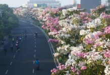surabaya