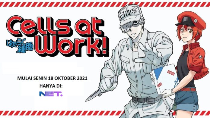 hataraku saibou