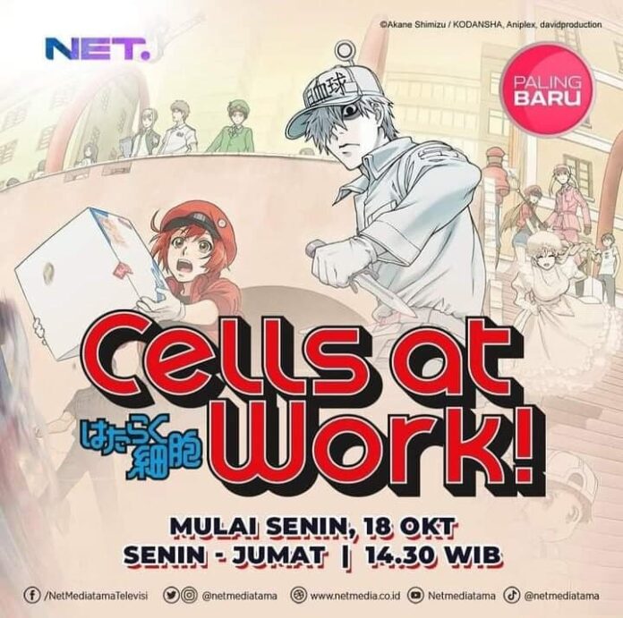 hataraku saibou