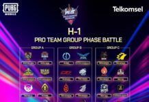 dgwib championship pubg