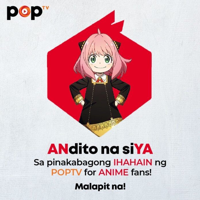 spy x family filipina