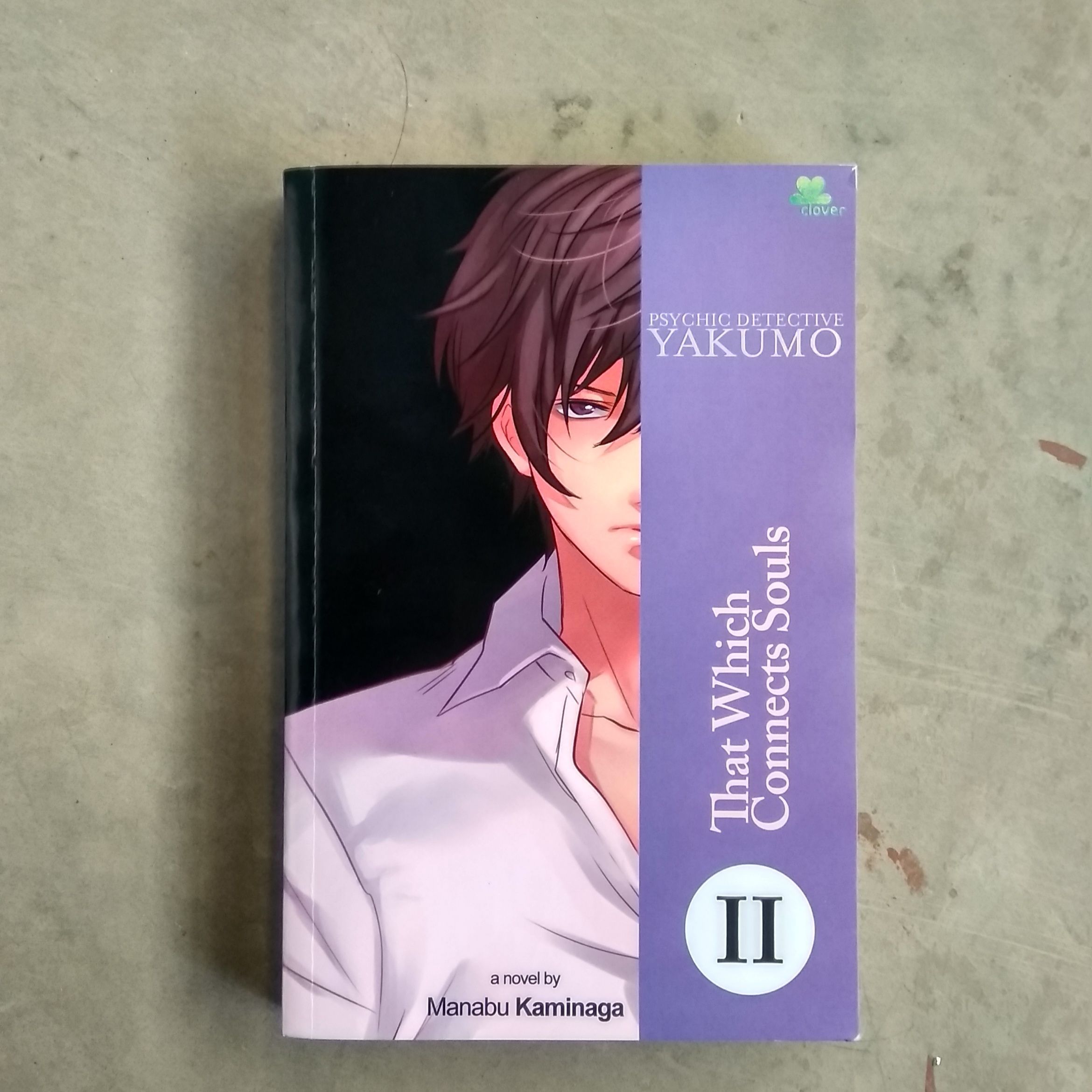 Psychic Detective Yakumo