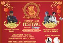 Japan Week Festival