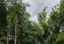 Laporan Acara Daisuki! Japan Ten Malang: Otsukare Dengan Catatan