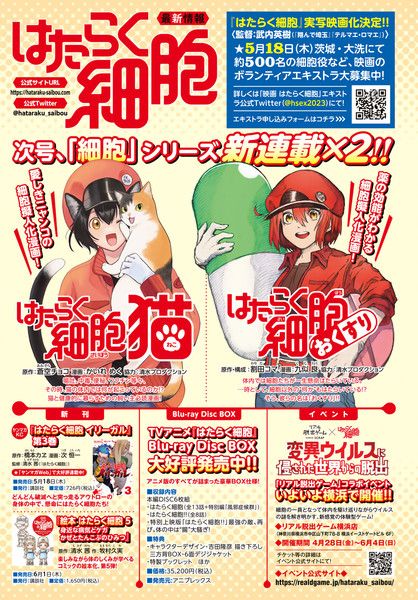 cells-at-work-cat-medicine cells at work cat kucing hataraku saibou