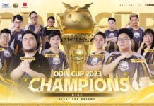 Odin Cup