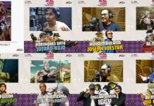 Stardust Crusaders