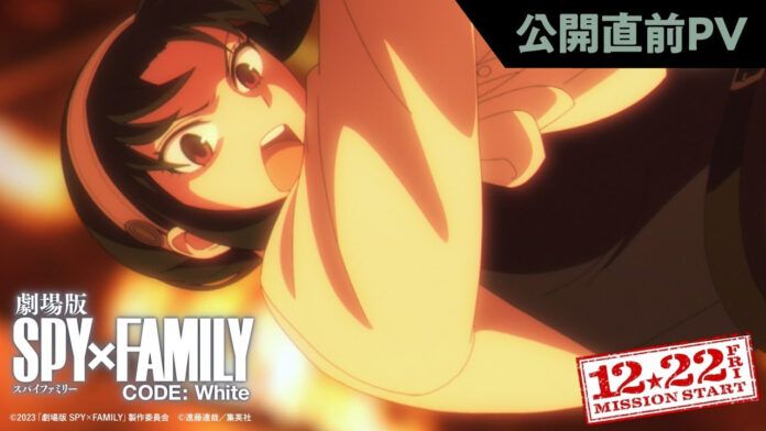 Code: White