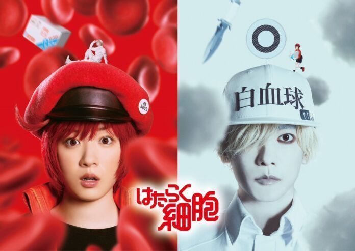 Hataraku Saibou