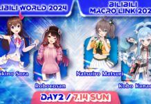 BILIBILI MACRO LINK 2024