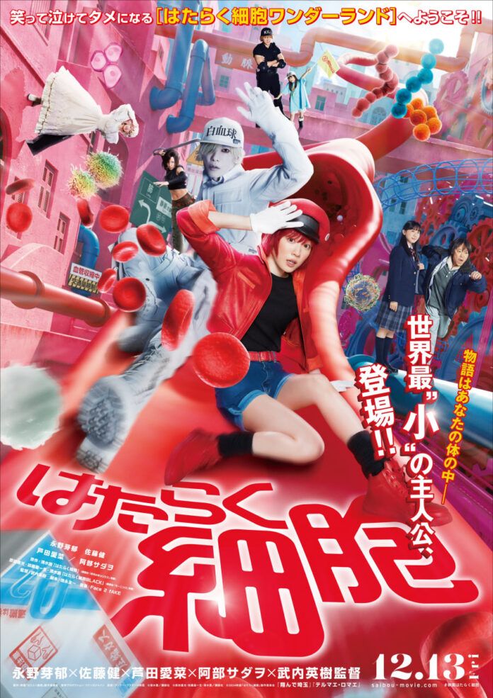 hataraku saibou