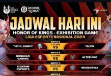 Liga Esports Nasional