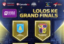 Liga Esports Nasional