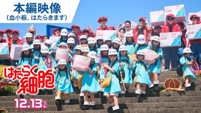 hataraku saibou