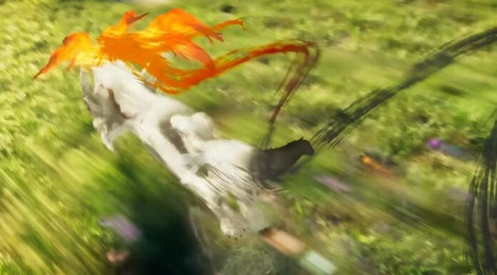 Okami